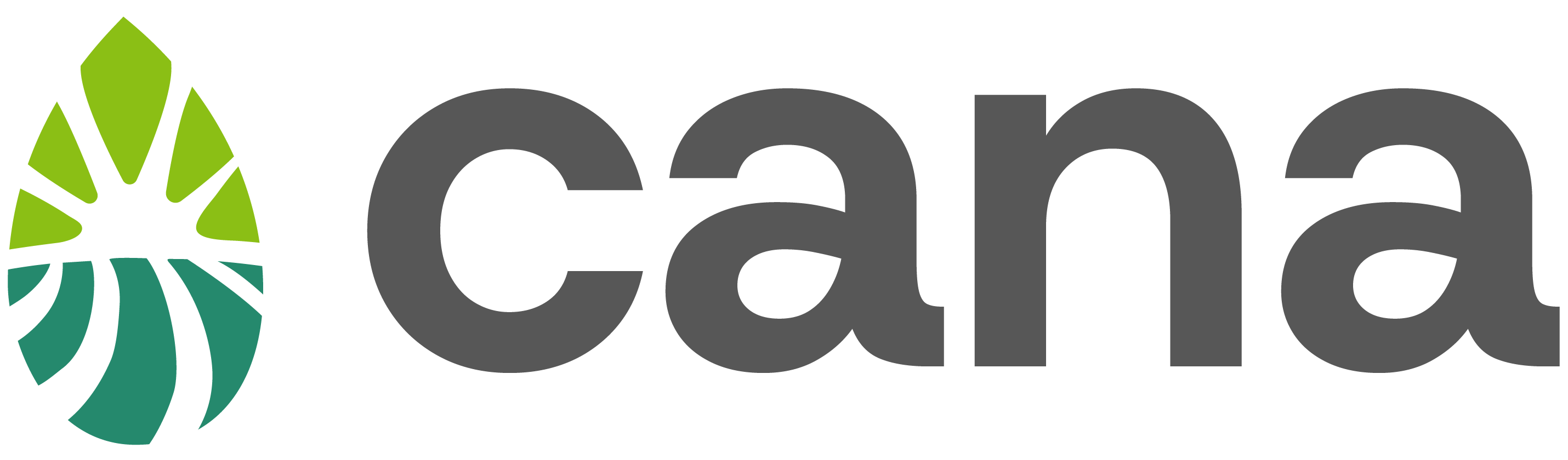 Cana Logo