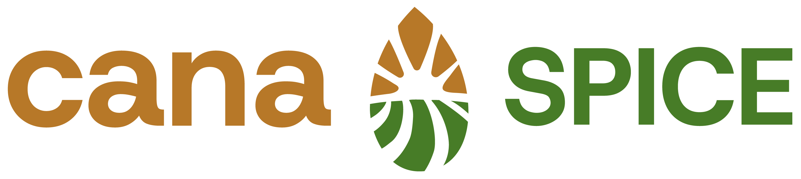 Cana Spice Logo